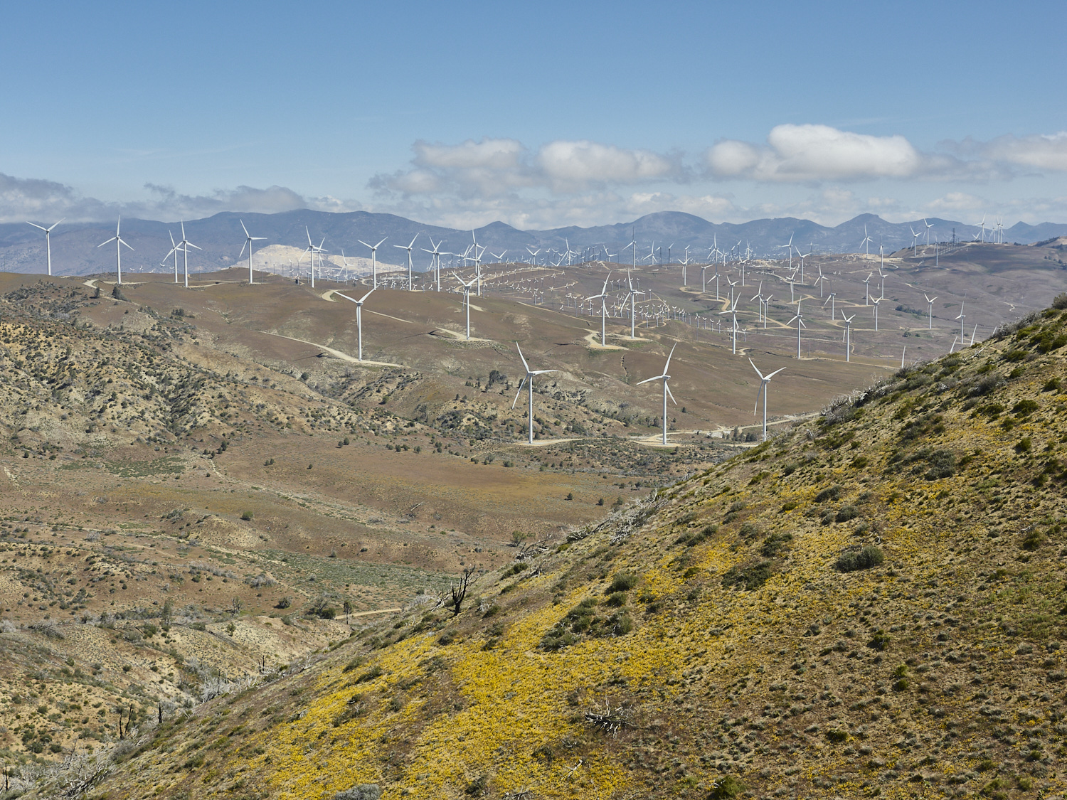 ein Windpark südlich von Tehachapi