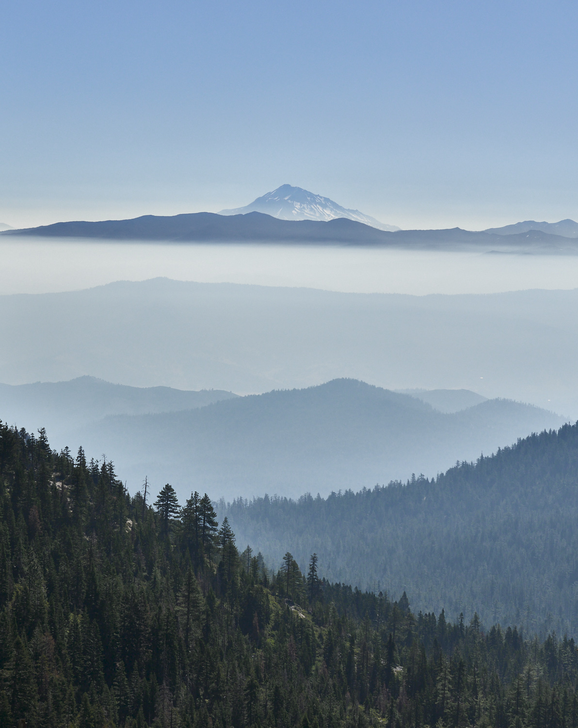 Blick über eine Dunstdecke bestehend aus Rauch und Morgendunst auf Mount Shasta