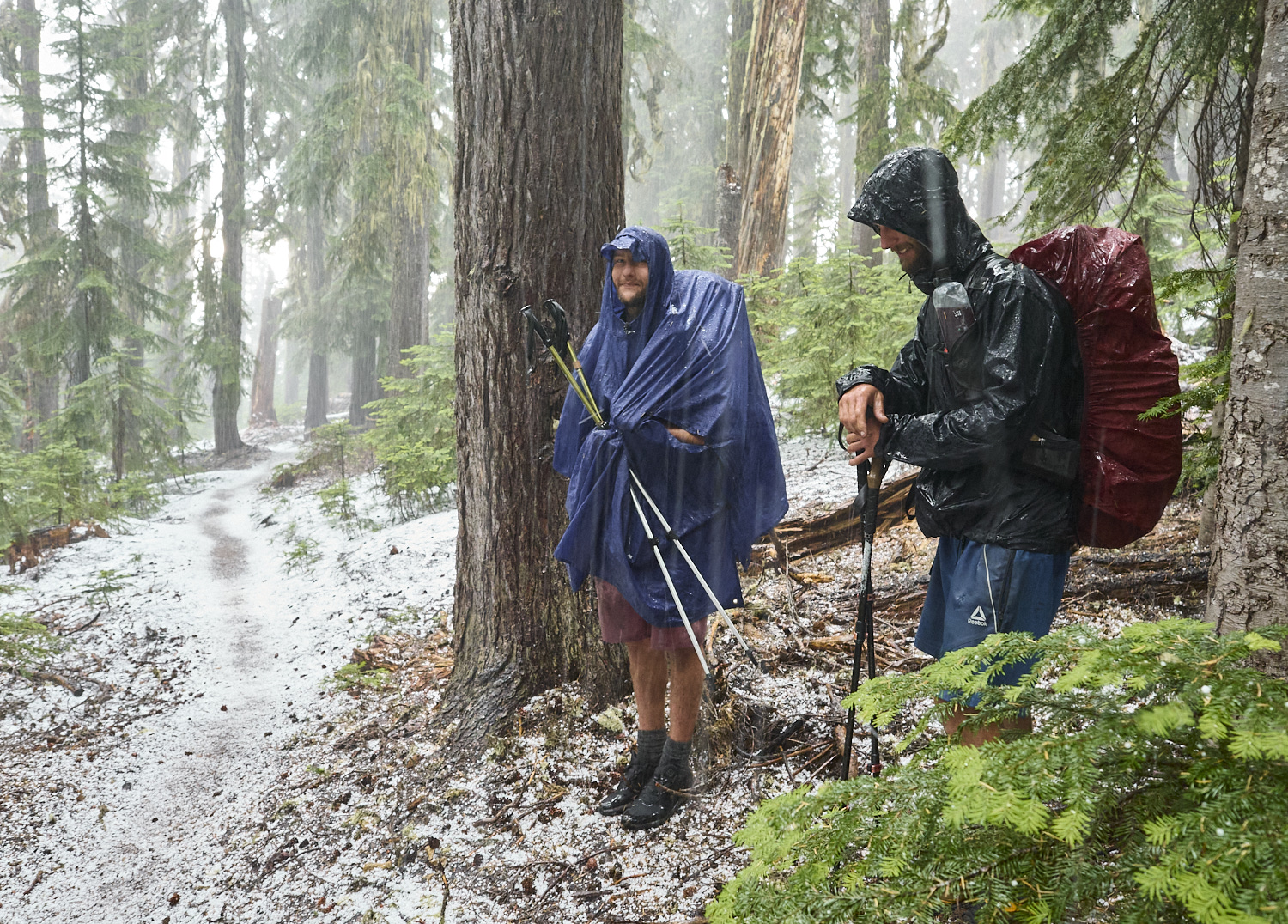 zwei Wanderer suchen während eines heftigen Sommergewitters Schutz unter einem Baum