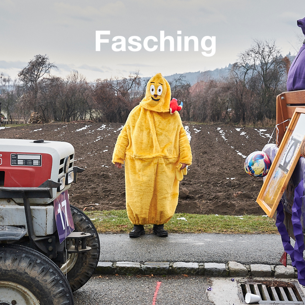 Fasching und Faschingsumzüge